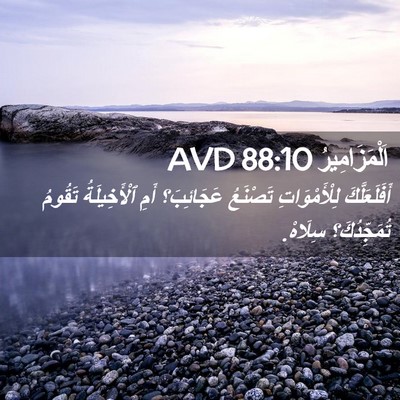 Picture 02 - اَلْمَزَامِيرُ 88:10 AVD - أَفَلَعَلَّكَ - Bible Verse Picture