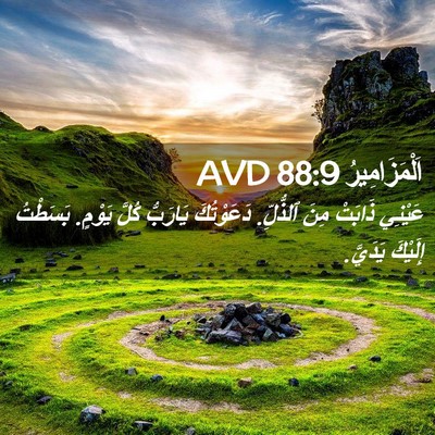 Picture 02 - اَلْمَزَامِيرُ 88:9 AVD - عَيْنِي ذَابَتْ مِنَ - Bible Verse Picture