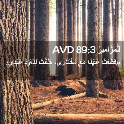 Picture 02 - اَلْمَزَامِيرُ 89:3 AVD - «قَطَعْتُ عَهْدًا مَعَ - Bible Verse Picture