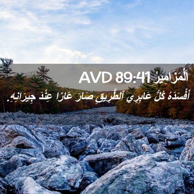 Picture 02 - اَلْمَزَامِيرُ 89:41 AVD - أَفْسَدَهُ كُلُّ عَابِرِي - Bible Verse Picture