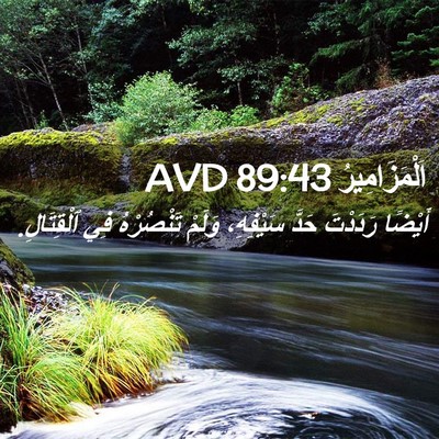 Picture 02 - اَلْمَزَامِيرُ 89:43 AVD - أَيْضًا رَدَدْتَ حَدَّ - Bible Verse Picture