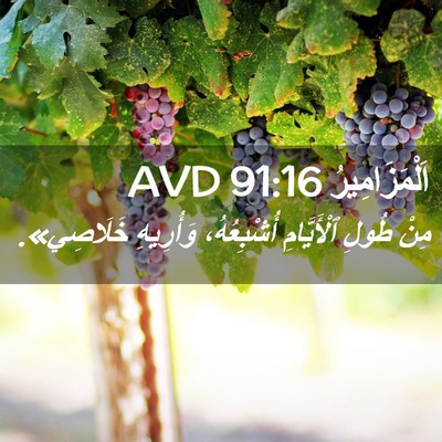 Picture 02 - اَلْمَزَامِيرُ 91:16 AVD - مِنْ طُولِ ٱلْأَيَّامِ - Bible Verse Picture