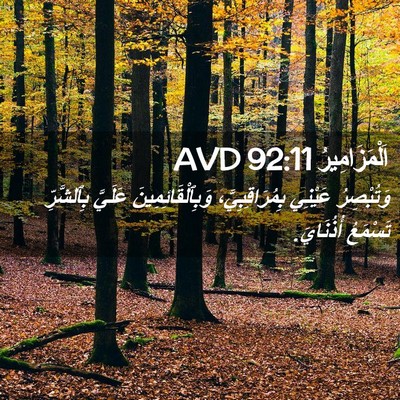 Picture 02 - اَلْمَزَامِيرُ 92:11 AVD - وَتُبْصِرُ عَيْنِي - Bible Verse Picture