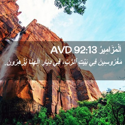 Picture 02 - اَلْمَزَامِيرُ 92:13 AVD - مَغْرُوسِينَ فِي بَيْتِ - Bible Verse Picture