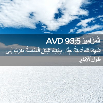 Picture 02 - اَلْمَزَامِيرُ 93:5 AVD - شَهَادَاتُكَ ثَابِتَةٌ - Bible Verse Picture