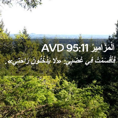 Picture 02 - اَلْمَزَامِيرُ 95:11 AVD - فَأَقْسَمْتُ فِي غَضَبِي: - Bible Verse Picture