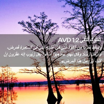 Picture 02 - اَلْمُلُوكِ ٱلثَّانِي 1:2 AVD - وَسَقَطَ أَخَزْيَا مِنَ - Bible Verse Picture