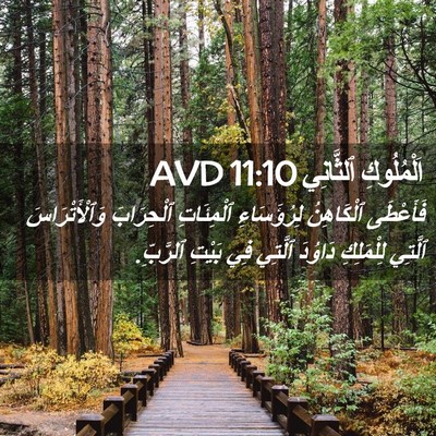 Picture 02 - اَلْمُلُوكِ ٱلثَّانِي 11:10 AVD - فَأَعْطَى ٱلْكَاهِنُ - Bible Verse Picture