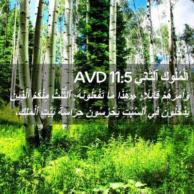 Picture 02 - اَلْمُلُوكِ ٱلثَّانِي 11:5 AVD - وَأَمَرَهُمْ قَائِلًا: - Bible Verse Picture