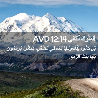 Picture 02 - اَلْمُلُوكِ ٱلثَّانِي 12:14 AVD - بَلْ كَانُوا - Bible Verse Picture