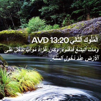 Picture 02 - اَلْمُلُوكِ ٱلثَّانِي 13:20 AVD - وَمَاتَ أَلِيشَعُ - Bible Verse Picture