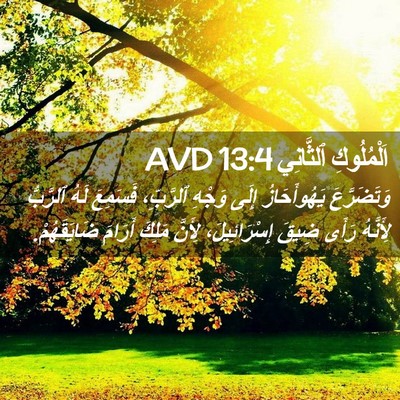 Picture 02 - اَلْمُلُوكِ ٱلثَّانِي 13:4 AVD - وَتَضَرَّعَ يَهُوأَحَازُ - Bible Verse Picture