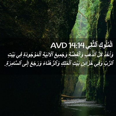 Picture 02 - اَلْمُلُوكِ ٱلثَّانِي 14:14 AVD - وَأَخَذَ كُلَّ ٱلذَّهَبِ - Bible Verse Picture