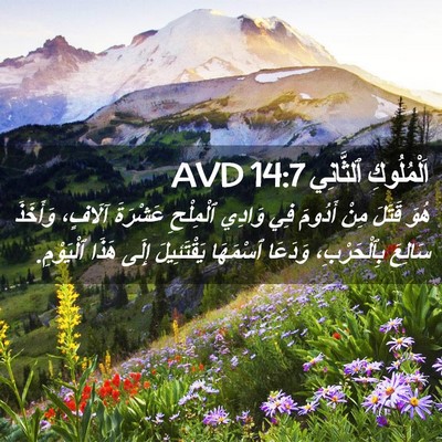 Picture 02 - اَلْمُلُوكِ ٱلثَّانِي 14:7 AVD - هُوَ قَتَلَ مِنْ أَدُومَ - Bible Verse Picture