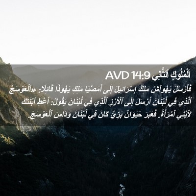 Picture 02 - اَلْمُلُوكِ ٱلثَّانِي 14:9 AVD - فَأَرْسَلَ يَهُوآشُ - Bible Verse Picture