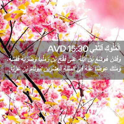 Picture 02 - اَلْمُلُوكِ ٱلثَّانِي 15:30 AVD - وَفَتَنَ هُوشَعُ بْنُ - Bible Verse Picture
