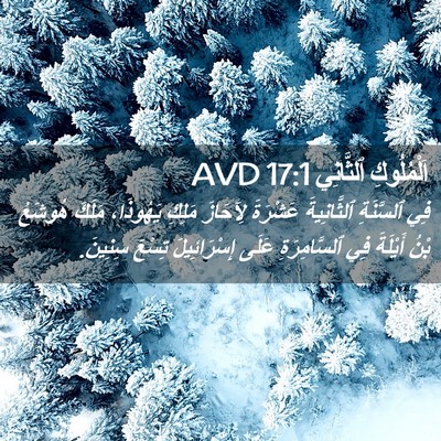 Picture 02 - اَلْمُلُوكِ ٱلثَّانِي 17:1 AVD - فِي ٱلسَّنَةِ ٱلثَّانِيةَ - Bible Verse Picture