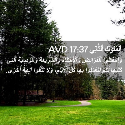 Picture 02 - اَلْمُلُوكِ ٱلثَّانِي 17:37 AVD - وَٱحْفَظُوا ٱلْفَرَائِضَ - Bible Verse Picture