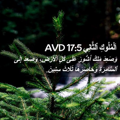 Picture 02 - اَلْمُلُوكِ ٱلثَّانِي 17:5 AVD - وَصَعِدَ مَلِكُ أَشُّورَ - Bible Verse Picture