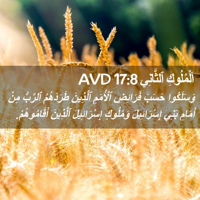 Picture 02 - اَلْمُلُوكِ ٱلثَّانِي 17:8 AVD - وَسَلَكُوا حَسَبَ - Bible Verse Picture