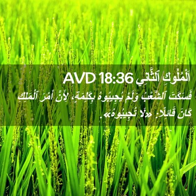 Picture 02 - اَلْمُلُوكِ ٱلثَّانِي 18:36 AVD - فَسَكَتَ ٱلشَّعْبُ وَلَمْ - Bible Verse Picture