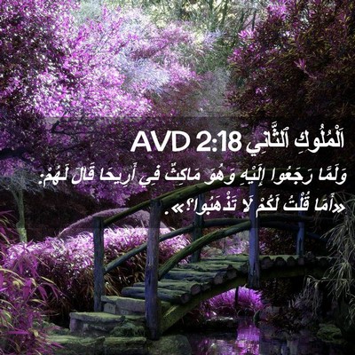 Picture 02 - اَلْمُلُوكِ ٱلثَّانِي 2:18 AVD - وَلَمَّا رَجَعُوا - Bible Verse Picture
