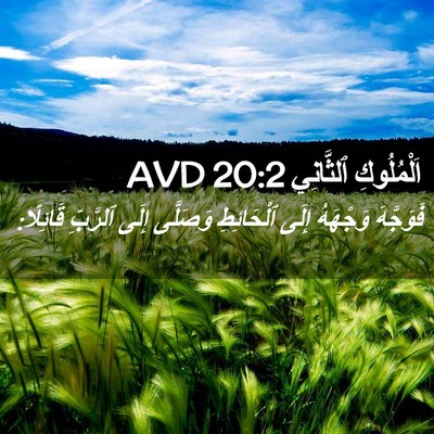 Picture 02 - اَلْمُلُوكِ ٱلثَّانِي 20:2 AVD - فَوَجَّهَ وَجْهَهُ إِلَى - Bible Verse Picture