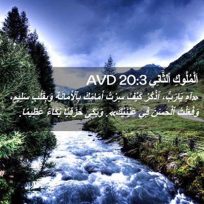 Picture 02 - اَلْمُلُوكِ ٱلثَّانِي 20:3 AVD - «آهِ يَارَبُّ، ٱذْكُرْ - Bible Verse Picture