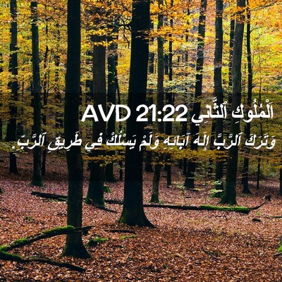 Picture 02 - اَلْمُلُوكِ ٱلثَّانِي 21:22 AVD - وَتَرَكَ ٱلرَّبَّ إِلَهَ - Bible Verse Picture