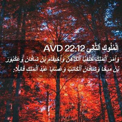 Picture 02 - اَلْمُلُوكِ ٱلثَّانِي 22:12 AVD - وَأَمَرَ ٱلْمَلِكُ - Bible Verse Picture