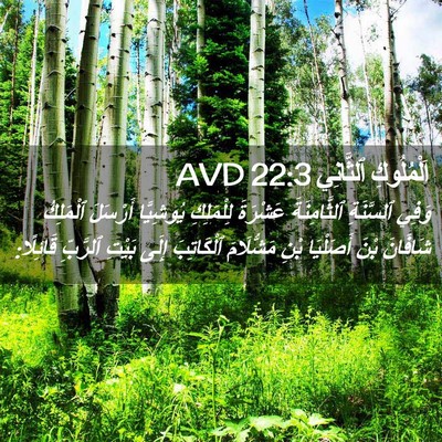 Picture 02 - اَلْمُلُوكِ ٱلثَّانِي 22:3 AVD - وَفِي ٱلسَّنَةِ - Bible Verse Picture