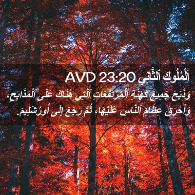 Picture 02 - اَلْمُلُوكِ ٱلثَّانِي 23:20 AVD - وَذَبَحَ جَمِيعَ كَهَنَةِ - Bible Verse Picture