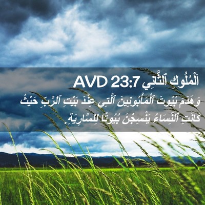 Picture 02 - اَلْمُلُوكِ ٱلثَّانِي 23:7 AVD - وَهَدَمَ بُيُوتَ - Bible Verse Picture
