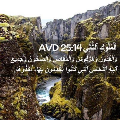 Picture 02 - اَلْمُلُوكِ ٱلثَّانِي 25:14 AVD - وَٱلْقُدُورَ وَٱلرُّفُوشَ - Bible Verse Picture