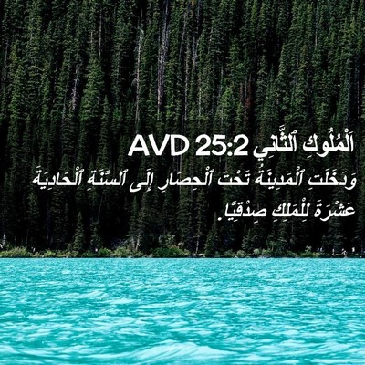 Picture 02 - اَلْمُلُوكِ ٱلثَّانِي 25:2 AVD - وَدَخَلَتِ ٱلْمَدِينَةُ - Bible Verse Picture