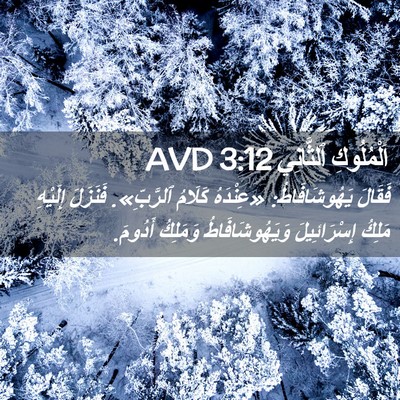 Picture 02 - اَلْمُلُوكِ ٱلثَّانِي 3:12 AVD - فَقَالَ يَهُوشَافَاطُ: - Bible Verse Picture