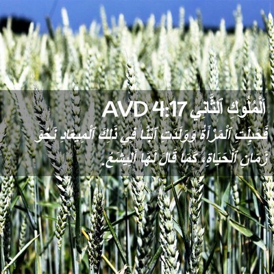 Picture 02 - اَلْمُلُوكِ ٱلثَّانِي 4:17 AVD - فَحَبِلَتِ ٱلْمَرْأَةُ - Bible Verse Picture