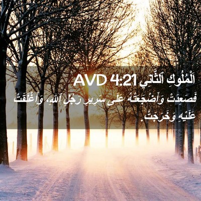 Picture 02 - اَلْمُلُوكِ ٱلثَّانِي 4:21 AVD - فَصَعِدَتْ وَأَضْجَعَتْهُ - Bible Verse Picture