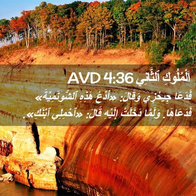 Picture 02 - اَلْمُلُوكِ ٱلثَّانِي 4:36 AVD - فَدَعَا جِيحْزِي وَقَالَ: - Bible Verse Picture