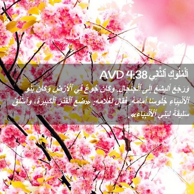 Picture 02 - اَلْمُلُوكِ ٱلثَّانِي 4:38 AVD - وَرَجَعَ أَلِيشَعُ إِلَى - Bible Verse Picture