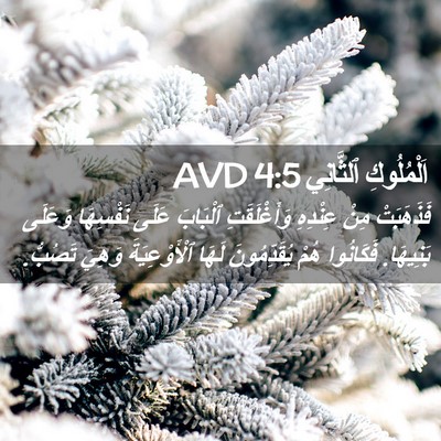 Picture 02 - اَلْمُلُوكِ ٱلثَّانِي 4:5 AVD - فَذَهَبَتْ مِنْ عِنْدِهِ - Bible Verse Picture