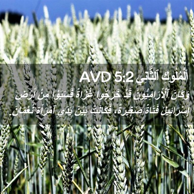 Picture 02 - اَلْمُلُوكِ ٱلثَّانِي 5:2 AVD - وَكَانَ ٱلْأَرَامِيُّونَ - Bible Verse Picture
