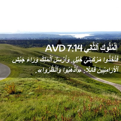 Picture 02 - اَلْمُلُوكِ ٱلثَّانِي 7:14 AVD - فَأَخَذُوا مَرْكَبَتَيْ - Bible Verse Picture