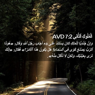 Picture 02 - اَلْمُلُوكِ ٱلثَّانِي 7:2 AVD - وَإِنَّ جُنْدِيًّا - Bible Verse Picture