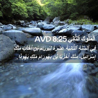 Picture 02 - اَلْمُلُوكِ ٱلثَّانِي 8:25 AVD - فِي ٱلسَّنَةِ - Bible Verse Picture