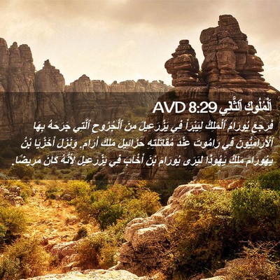 Picture 02 - اَلْمُلُوكِ ٱلثَّانِي 8:29 AVD - فَرَجَعَ يُورَامُ - Bible Verse Picture