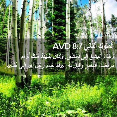 Picture 02 - اَلْمُلُوكِ ٱلثَّانِي 8:7 AVD - وَجَاءَ أَلِيشَعُ إِلَى - Bible Verse Picture
