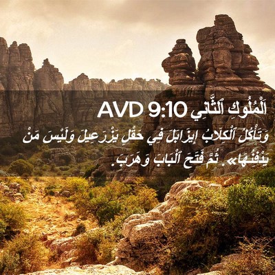 Picture 02 - اَلْمُلُوكِ ٱلثَّانِي 9:10 AVD - وَتَأْكُلُ ٱلْكِلَابُ - Bible Verse Picture