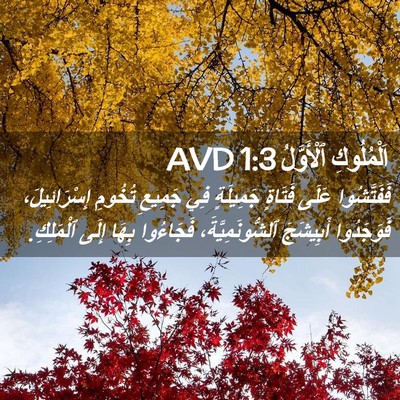 Picture 02 - اَلْمُلُوكِ ٱلْأَوَّلُ 1:3 AVD - فَفَتَّشُوا عَلَى فَتَاةٍ - Bible Verse Picture