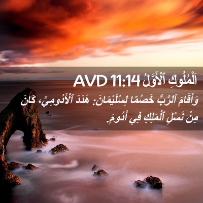 Picture 02 - اَلْمُلُوكِ ٱلْأَوَّلُ 11:14 AVD - وَأَقَامَ ٱلرَّبُّ - Bible Verse Picture
